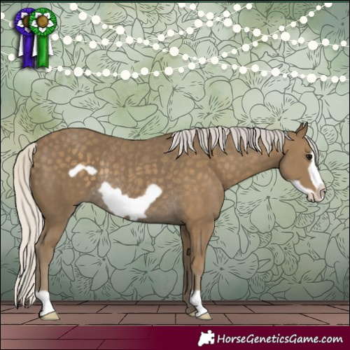Horse Color:Silver Smoky Black Frame Rabicano