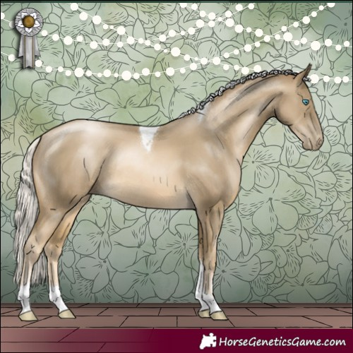 Horse Color:Silver Smoky Black Pearl Tobiano Rabicano 