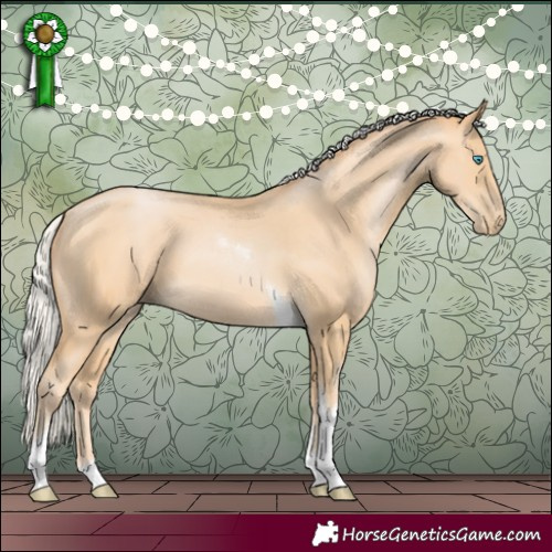 Horse Color:Silver Buckskin Pearl Tobiano 