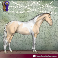 Horse Color:Silver Buckskin Pearl Tobiano Rabicano 