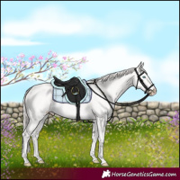 Horse Color:Perlino 