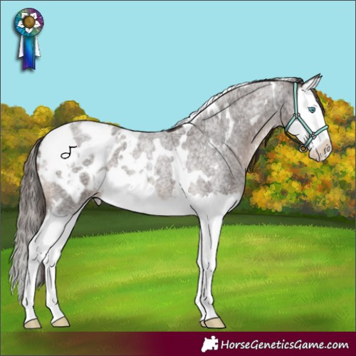 Horse Color:White Spotted Liver Red Roan Splash Blanket 