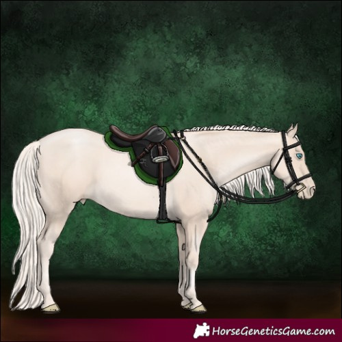 Horse Color:Gold Cream Champagne Pearl