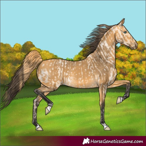 Horse Color:Buckskin Roan Pearl  and Buckskin 