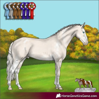 Horse Color:Cremello Sabino Varnish 