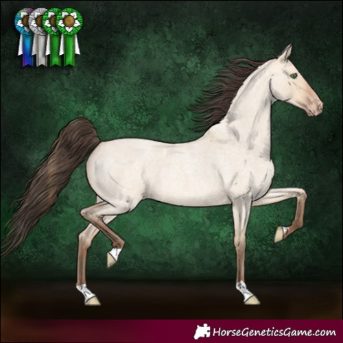 Horse Color:Amber Champagne Roan Dun 