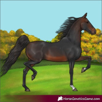 Horse Color:Brown 