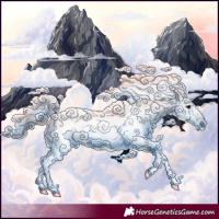 Horse Color:White Spotted Black Splash Tobiano Appaloosa 