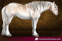Horse Color:Gray White Spotted Silver Sable Champagne Ice Onyx Tobiano 