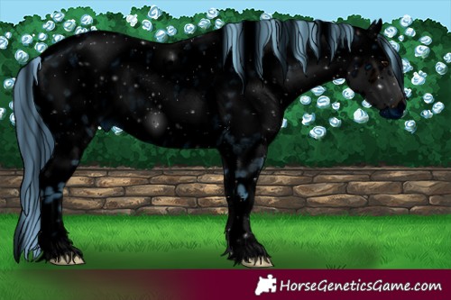 Horse Color:ERROR: UNKNOWN ANOMALY