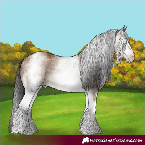 Horse Color:Gray White Spotted Amber Champagne 