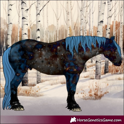 Horse Color:ERROR: UNKNOWN ANOMALY