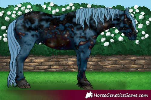 Horse Color:ERROR: UNKNOWN ANOMALY
