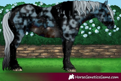 Horse Color:ERROR: UNKNOWN ANOMALY