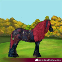 Horse Color:ERROR: UNKNOWN ANOMALY