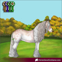 Horse Color:White Spotted Silver Brown Ice Onyx Sabino Splash
