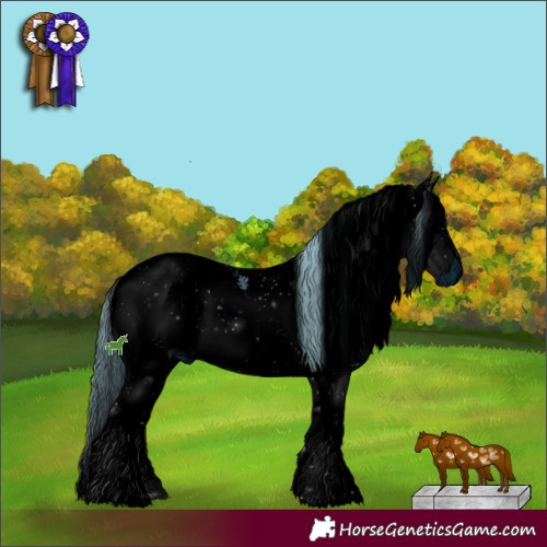 Horse Color:ERROR: UNKNOWN ANOMALY