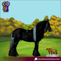 Horse Color:ERROR: UNKNOWN ANOMALY