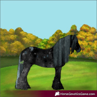 Horse Color:ERROR: UNKNOWN ANOMALY