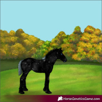 Horse Color:ERROR: UNKNOWN ANOMALY