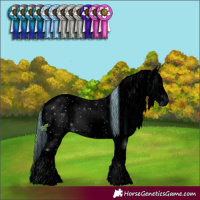 Horse Color:ERROR: UNKNOWN ANOMALY