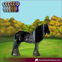 Horse Color:ERROR: UNKNOWN ANOMALY