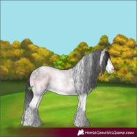 Horse Color:White Spotted Blue Onyx Ice Mushroom Splash 