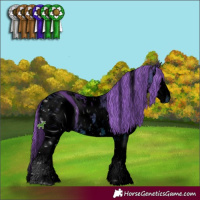 Horse Color:ERROR: UNKNOWN ANOMALY