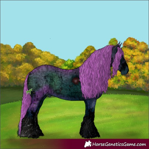 Horse Color:ERROR: UNKNOWN ANOMALY