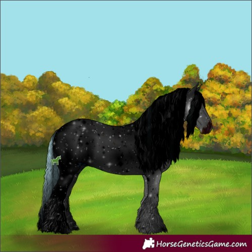 Horse Color:ERROR: UNKNOWN ANOMALY