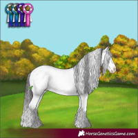 Horse Color:Brown Ice Onyx Mushroom Sabino Splash
