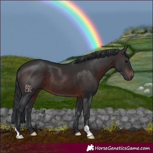 Horse Color:Brown 