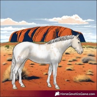 Horse Color:White Spotted Chocolate Palomino Pearl Dun Tobiano