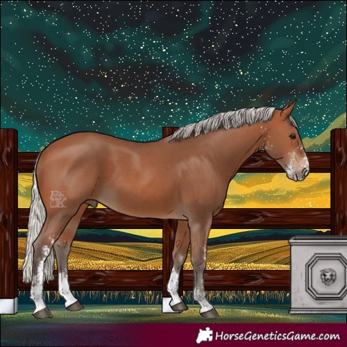 Horse Color:Silver Brown Sabino 