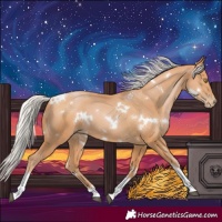 Horse Color:White Spotted Silver Bay Pearl Tobiano 