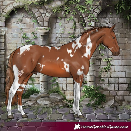 Horse Color:White Spotted Chestnut Tobiano 