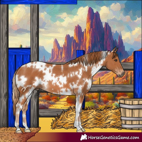 Horse Color:White Spotted Chestnut 