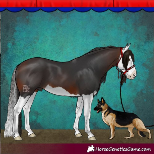 Horse Color:Brown Splash 