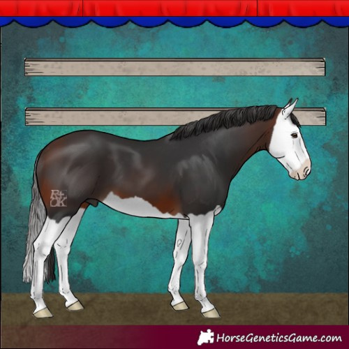 Horse Color:Brown Splash 