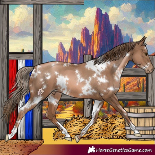 Horse Color:White Spotted Liver Chestnut Pearl 