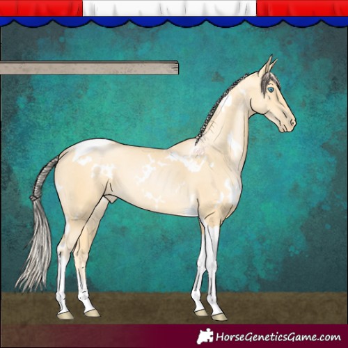 Horse Color:White Spotted Palomino Pearl Tobiano 