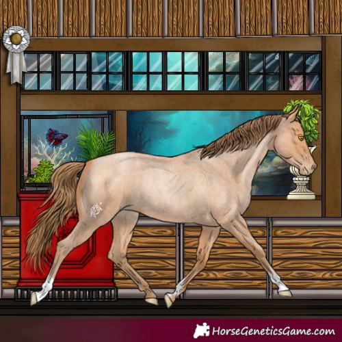 Horse Color:Bay Roan Pearl 