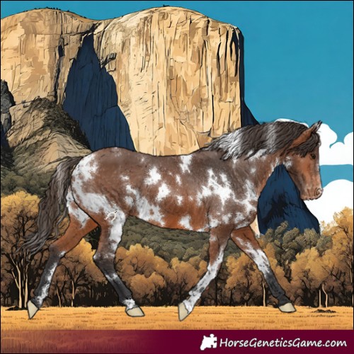 Horse Color:White Spotted Bay Varnish 