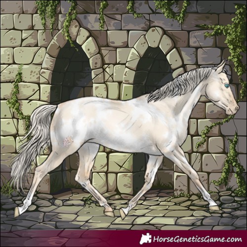 Horse Color:White Spotted Palomino Pearl Dun 