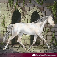 Horse Color:White Spotted Palomino Pearl Dun