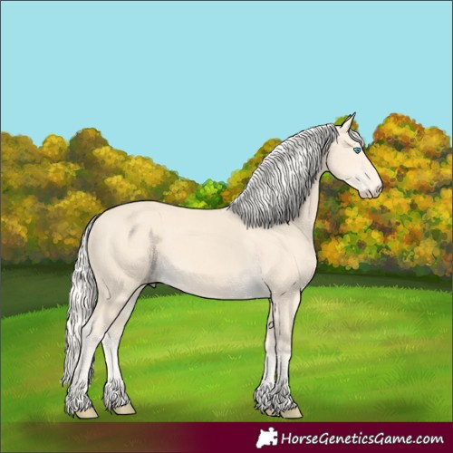 Horse Color:Cremello 