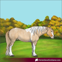 Horse Color:Chocolate Palomino Roan Dun Splash Tobiano