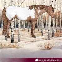 Horse Color:Black Snowdrop Pearl Snowcap 