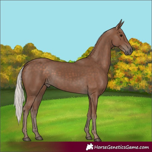 Horse Color:Silver Black 