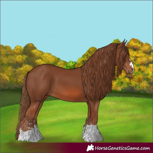 Horse Color:Chestnut 